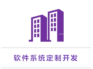 软件系统定制开发